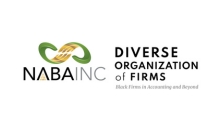 Diverse Organization of Firms_Credential Logo_Regina D. Page CPA_220 x 130